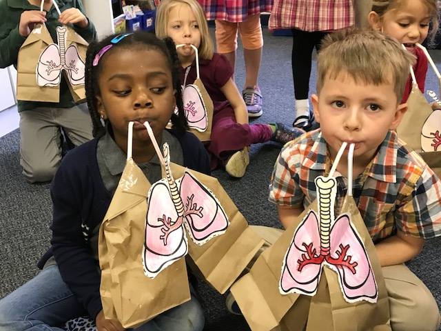 Kids use paper bags as lungs, breathing through straws.